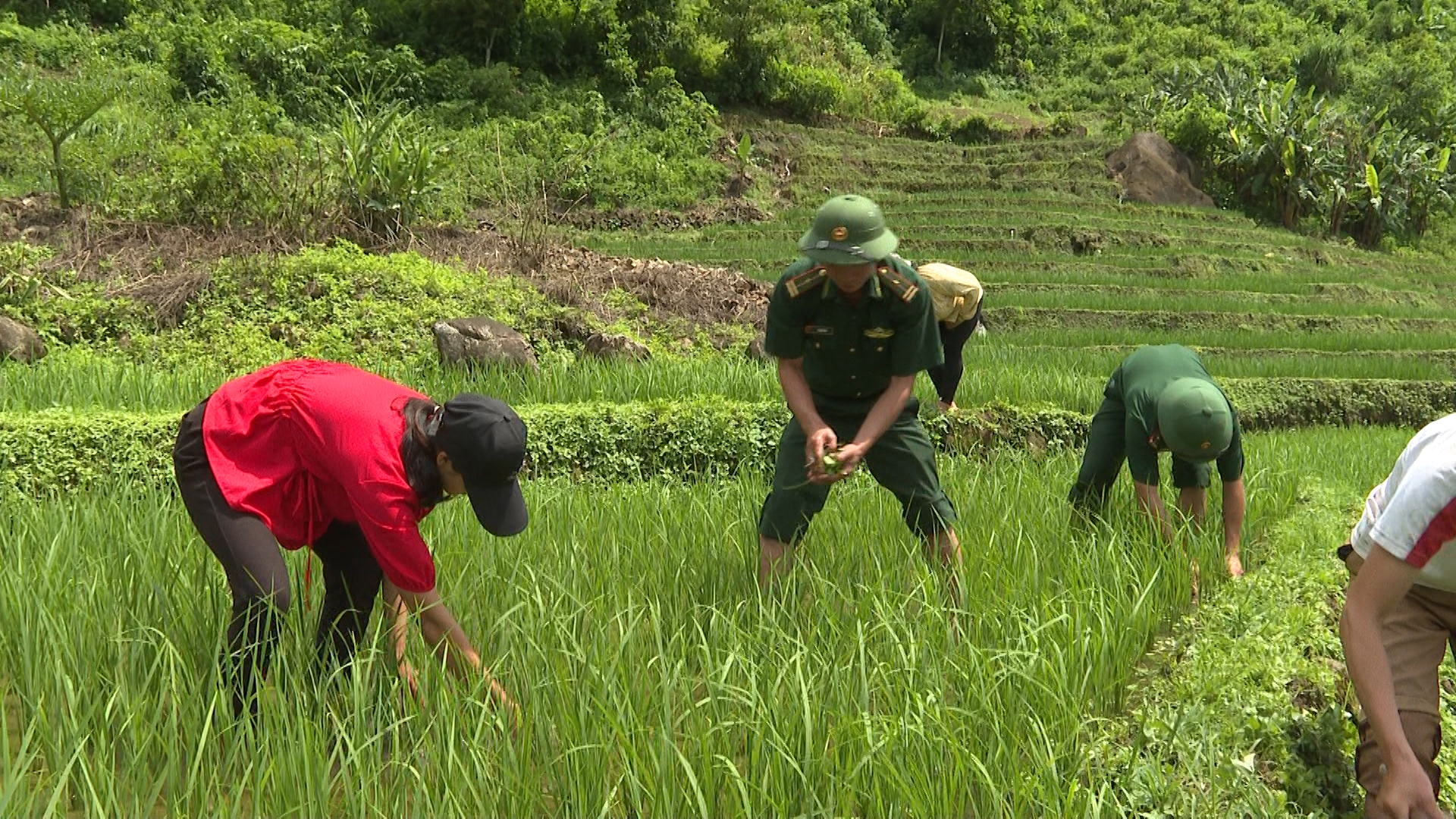 anh tin bai